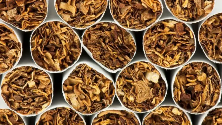 The History Of The British American Tobacco Dividend ...