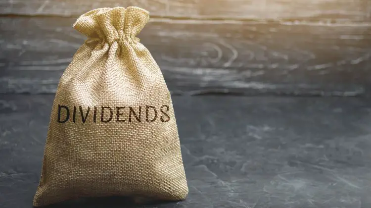 dividends bag